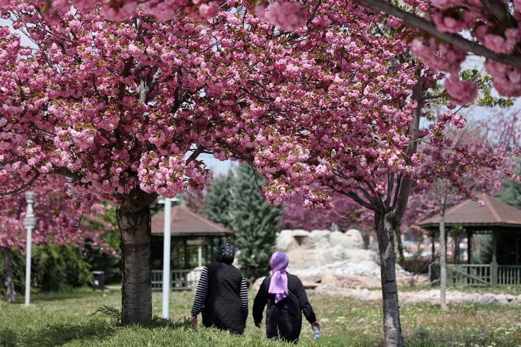 Japonya sanılan büyüleyici yer Konya çıktı 18